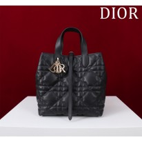 디올 여자가방