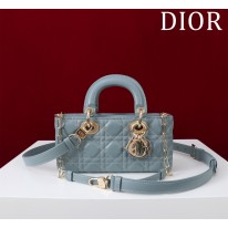 디올 미디움 여자가방